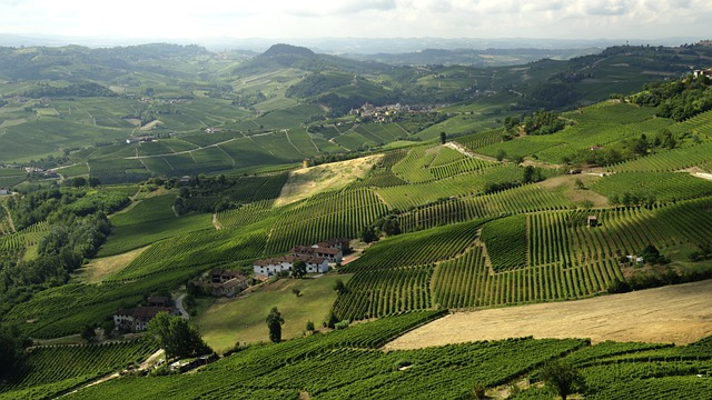 Langhe, italy.png