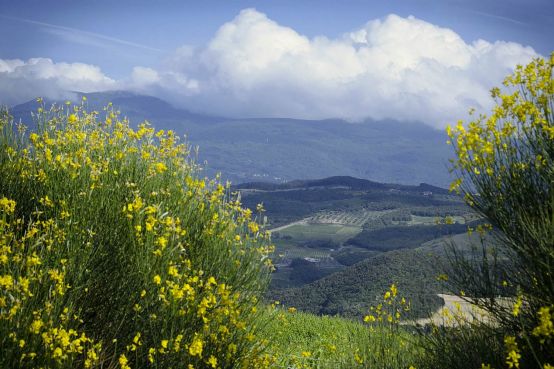 view-of-tuscany-countryside.jpg